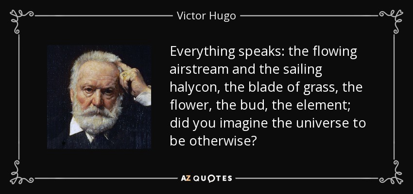 Everything speaks: the flowing airstream and the sailing halycon, the blade of grass, the flower, the bud, the element; did you imagine the universe to be otherwise? - Victor Hugo
