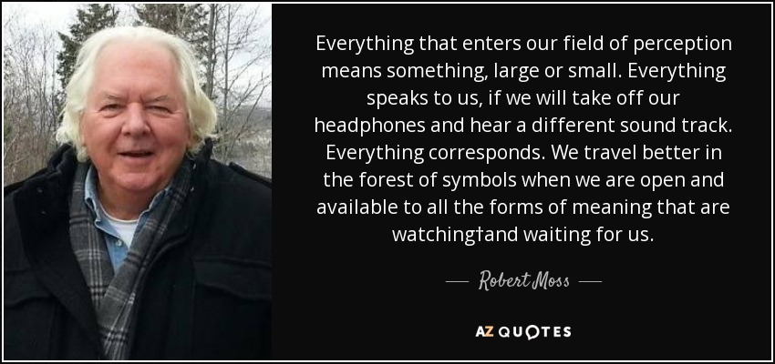 Everything that enters our field of perception means something, large or small. Everything speaks to us, if we will take off our headphones and hear a different sound track. Everything corresponds. We travel better in the forest of symbols when we are open and available to all the forms of meaning that are watching†and waiting for us. - Robert Moss