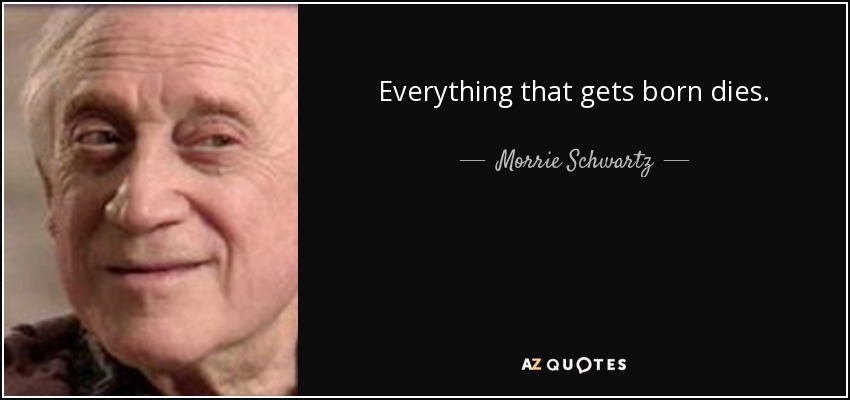 Everything that gets born dies. - Morrie Schwartz