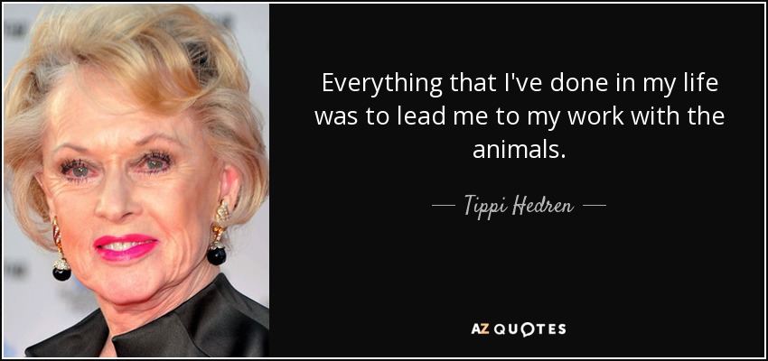 Everything that I've done in my life was to lead me to my work with the animals. - Tippi Hedren