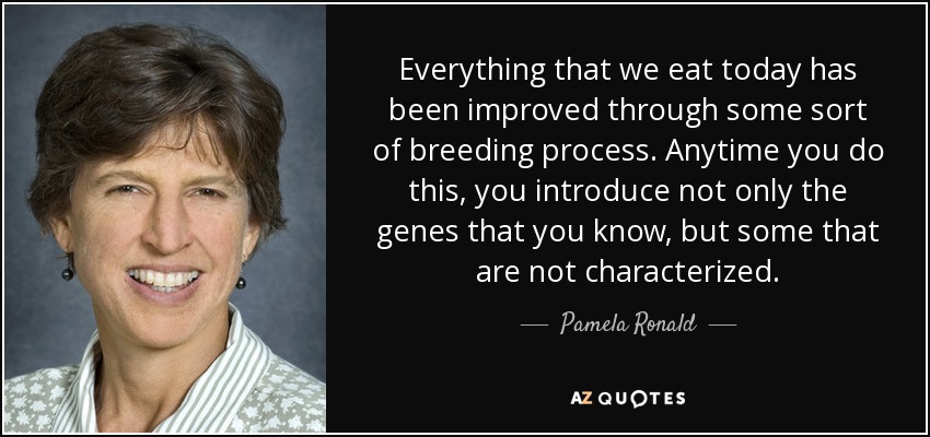 Everything that we eat today has been improved through some sort of breeding process. Anytime you do this, you introduce not only the genes that you know, but some that are not characterized. - Pamela Ronald