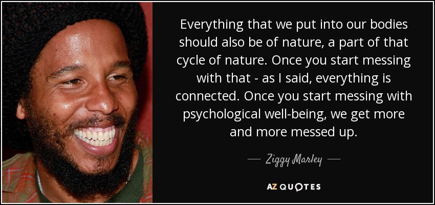 Everything that we put into our bodies should also be of nature, a part of that cycle of nature. Once you start messing with that - as I said, everything is connected. Once you start messing with psychological well-being, we get more and more messed up. - Ziggy Marley