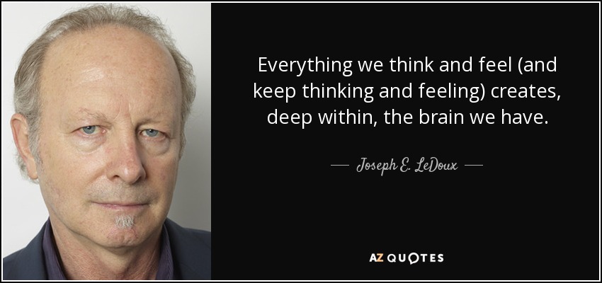 Everything we think and feel (and keep thinking and feeling) creates, deep within, the brain we have. - Joseph E. LeDoux