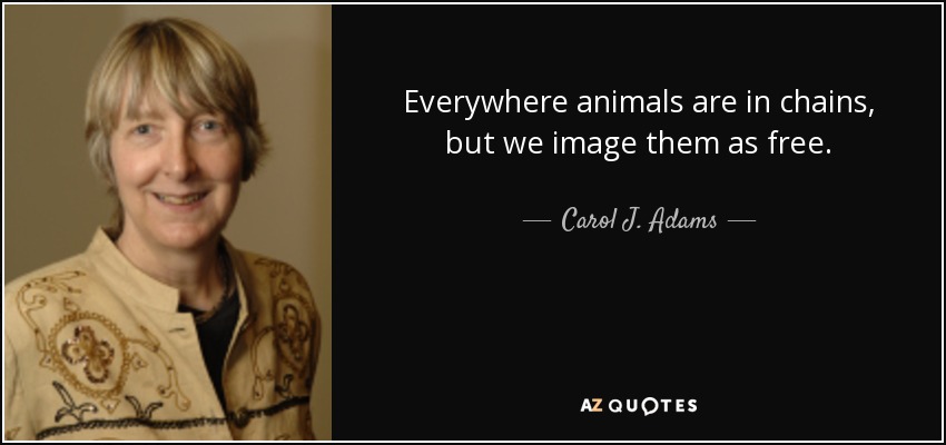 Everywhere animals are in chains, but we image them as free. - Carol J. Adams
