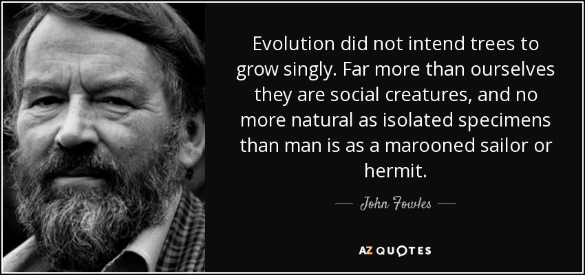 Evolution did not intend trees to grow singly. Far more than ourselves they are social creatures, and no more natural as isolated specimens than man is as a marooned sailor or hermit. - John Fowles