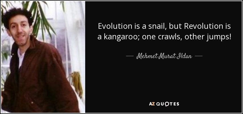 Evolution is a snail, but Revolution is a kangaroo; one crawls, other jumps! - Mehmet Murat Ildan