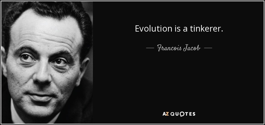 Evolution is a tinkerer. - Francois Jacob