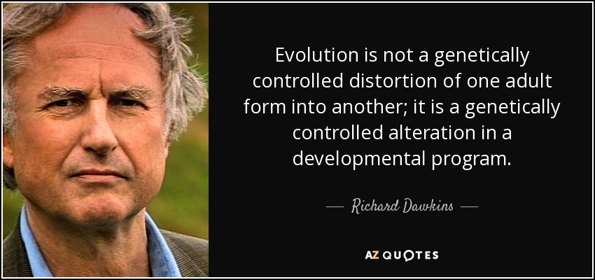 Evolution is not a genetically controlled distortion of one adult form into another; it is a genetically controlled alteration in a developmental program. - Richard Dawkins