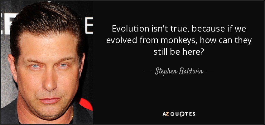 Evolution isn't true, because if we evolved from monkeys, how can they still be here? - Stephen Baldwin