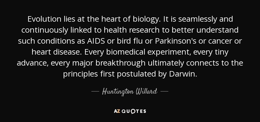 Evolution lies at the heart of biology. It is seamlessly and continuously linked to health research to better understand such conditions as AIDS or bird flu or Parkinson's or cancer or heart disease. Every biomedical experiment, every tiny advance, every major breakthrough ultimately connects to the principles first postulated by Darwin. - Huntington Willard