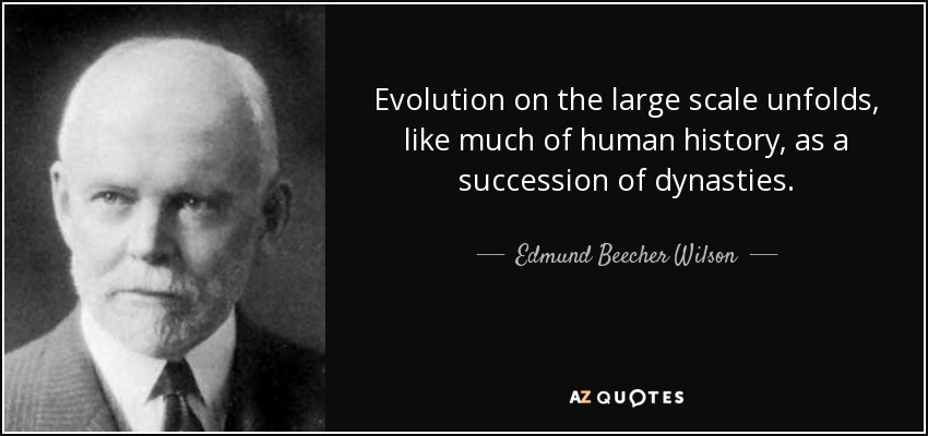 Evolution on the large scale unfolds, like much of human history, as a succession of dynasties. - Edmund Beecher Wilson