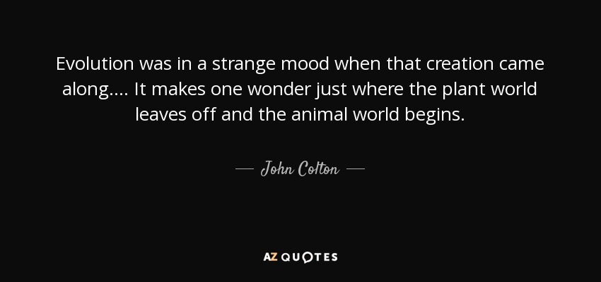 Evolution was in a strange mood when that creation came along.... It makes one wonder just where the plant world leaves off and the animal world begins. - John Colton
