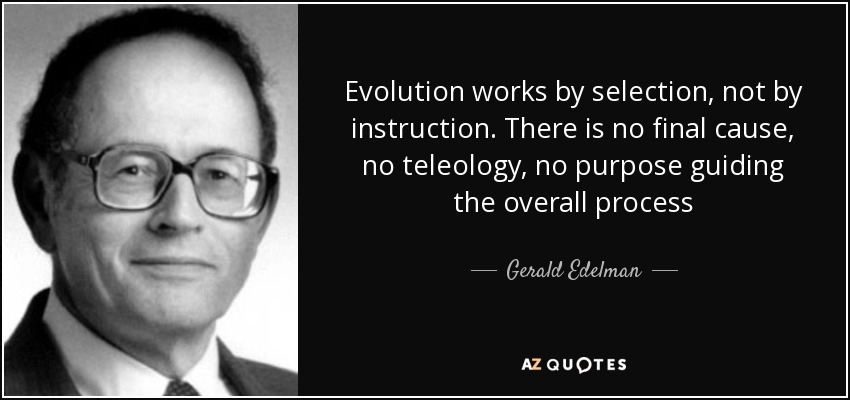 Evolution works by selection, not by instruction. There is no final cause, no teleology, no purpose guiding the overall process - Gerald Edelman