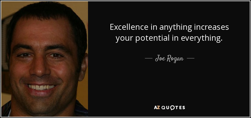 Excellence in anything increases your potential in everything. - Joe Rogan
