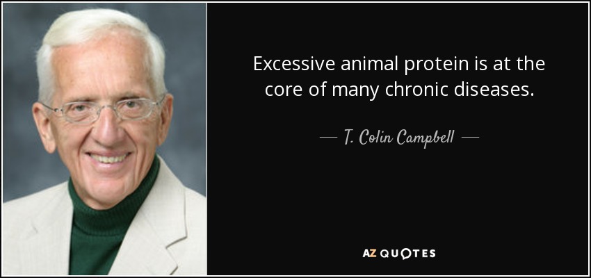 Excessive animal protein is at the core of many chronic diseases. - T. Colin Campbell