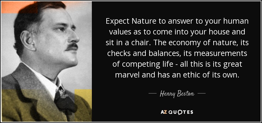 Expect Nature to answer to your human values as to come into your house and sit in a chair. The economy of nature, its checks and balances, its measurements of competing life - all this is its great marvel and has an ethic of its own. - Henry Beston