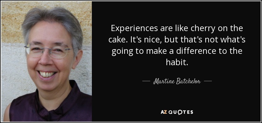 Experiences are like cherry on the cake. It's nice, but that's not what's going to make a difference to the habit. - Martine Batchelor