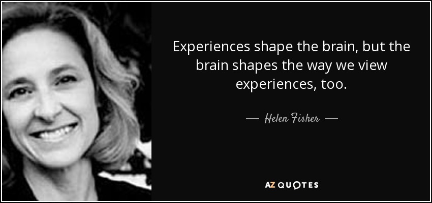 Experiences shape the brain, but the brain shapes the way we view experiences, too. - Helen Fisher