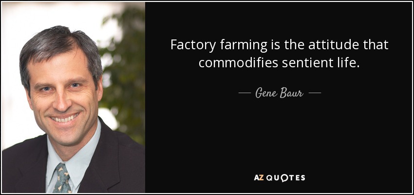 Factory farming is the attitude that commodifies sentient life. - Gene Baur