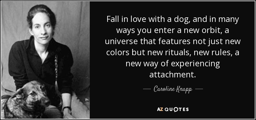 Fall in love with a dog, and in many ways you enter a new orbit, a universe that features not just new colors but new rituals, new rules, a new way of experiencing attachment. - Caroline Knapp