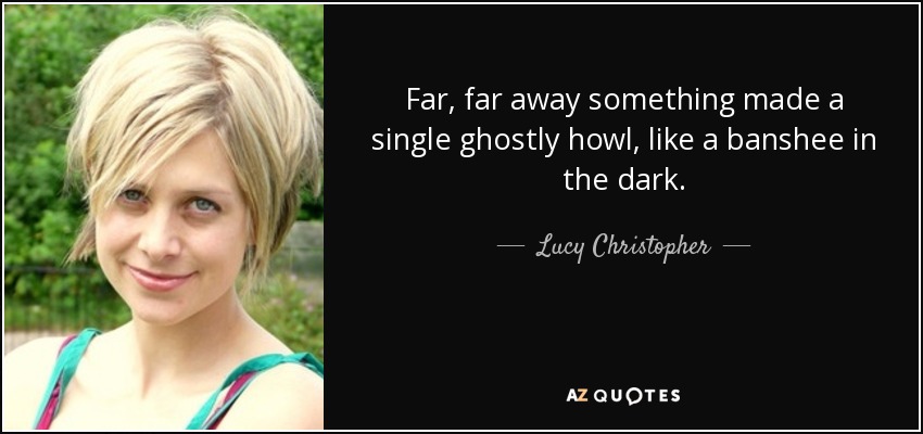 Far, far away something made a single ghostly howl, like a banshee in the dark. - Lucy Christopher