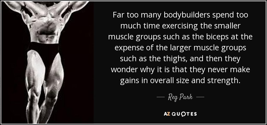 Far too many bodybuilders spend too much time exercising the smaller muscle groups such as the biceps at the expense of the larger muscle groups such as the thighs, and then they wonder why it is that they never make gains in overall size and strength. - Reg Park