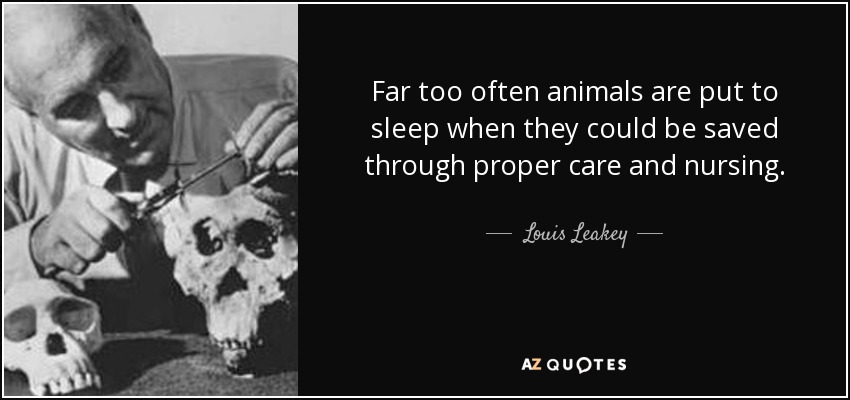 Far too often animals are put to sleep when they could be saved through proper care and nursing. - Louis Leakey