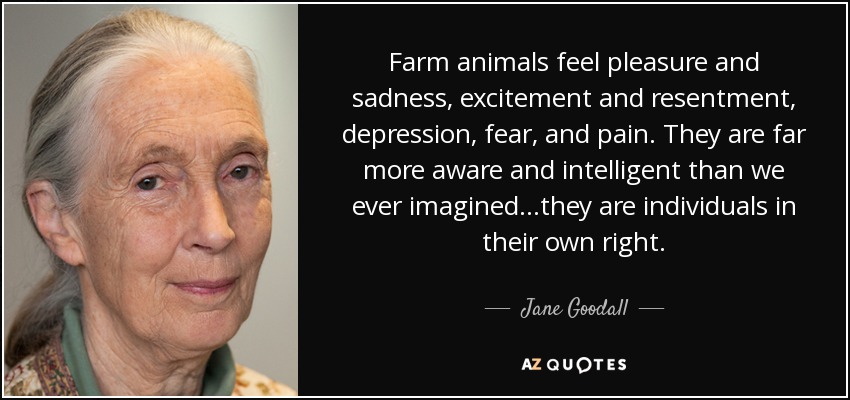 Image result for farm animals quote