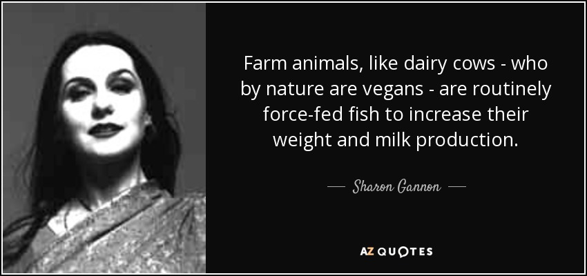 Farm animals, like dairy cows - who by nature are vegans - are routinely force-fed fish to increase their weight and milk production. - Sharon Gannon
