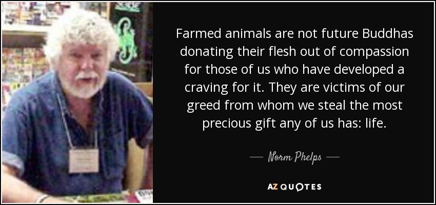 Farmed animals are not future Buddhas donating their flesh out of compassion for those of us who have developed a craving for it. They are victims of our greed from whom we steal the most precious gift any of us has: life. - Norm Phelps