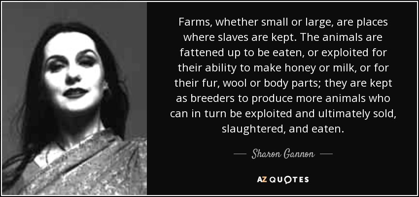 Farms, whether small or large, are places where slaves are kept. The animals are fattened up to be eaten, or exploited for their ability to make honey or milk, or for their fur, wool or body parts; they are kept as breeders to produce more animals who can in turn be exploited and ultimately sold, slaughtered, and eaten. - Sharon Gannon