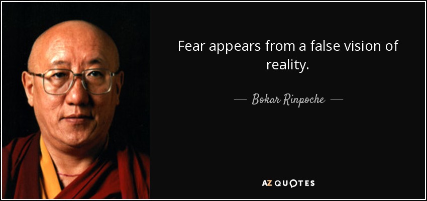 Fear appears from a false vision of reality. - Bokar Rinpoche