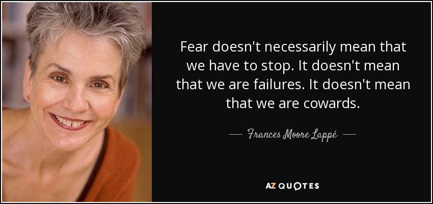 Fear doesn't necessarily mean that we have to stop. It doesn't mean that we are failures. It doesn't mean that we are cowards. - Frances Moore Lappé