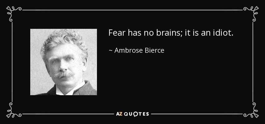 Fear has no brains; it is an idiot. - Ambrose Bierce