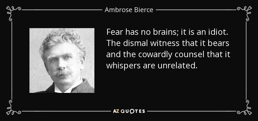 Fear has no brains; it is an idiot. The dismal witness that it bears and the cowardly counsel that it whispers are unrelated. - Ambrose Bierce