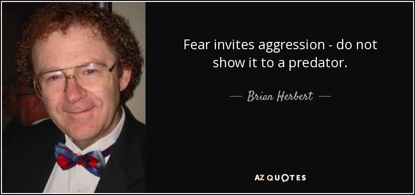Fear invites aggression - do not show it to a predator. - Brian Herbert