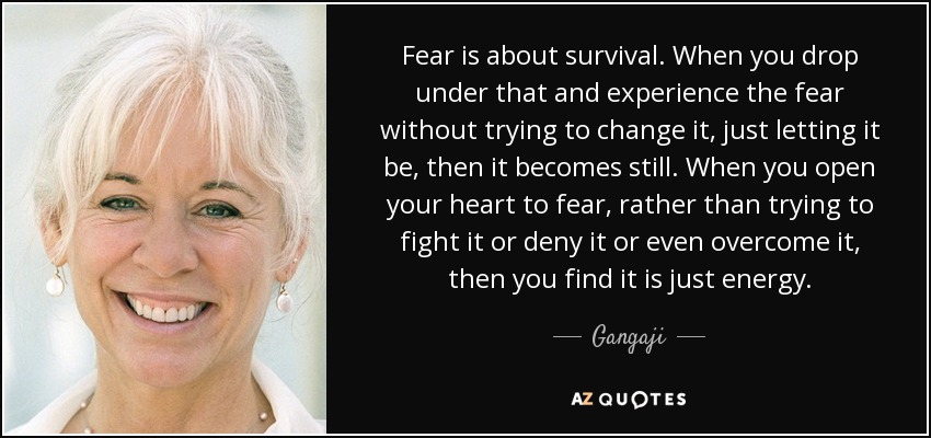 Fear is about survival. When you drop under that and experience the fear without trying to change it, just letting it be, then it becomes still. When you open your heart to fear, rather than trying to fight it or deny it or even overcome it, then you find it is just energy. - Gangaji