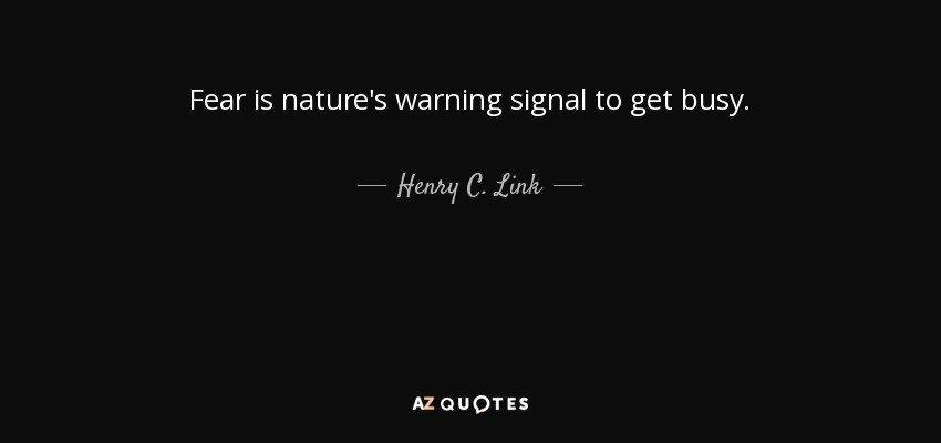 Fear is nature's warning signal to get busy. - Henry C. Link
