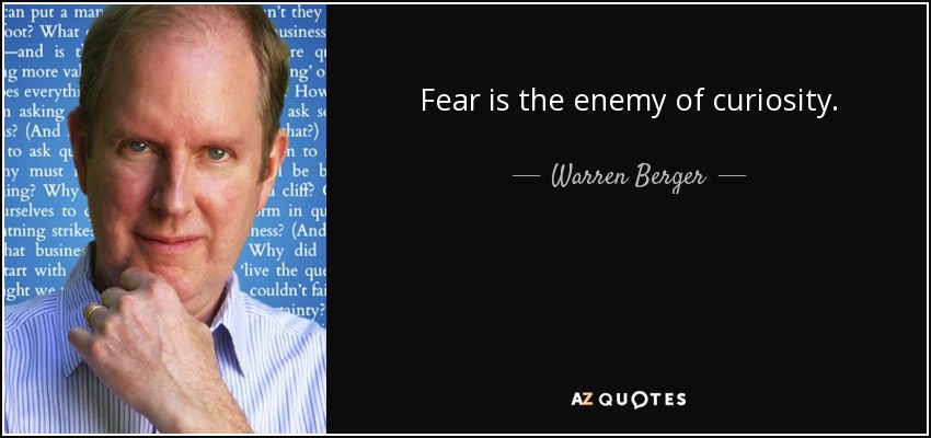 Fear is the enemy of curiosity. - Warren Berger