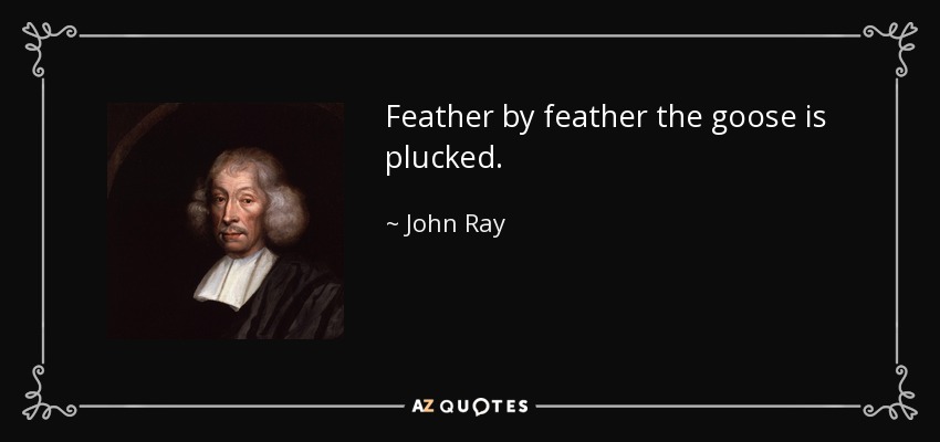 Feather by feather the goose is plucked. - John Ray