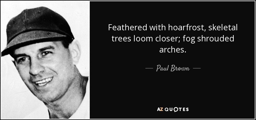 Feathered with hoarfrost, skeletal trees loom closer; fog shrouded arches. - Paul Brown