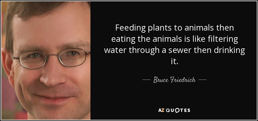 Feeding plants to animals then eating the animals is like filtering water through a sewer then drinking it. - Bruce Friedrich