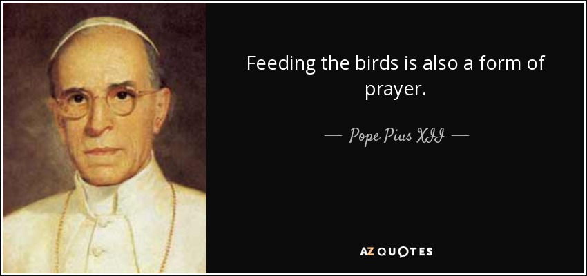 Feeding the birds is also a form of prayer. - Pope Pius XII