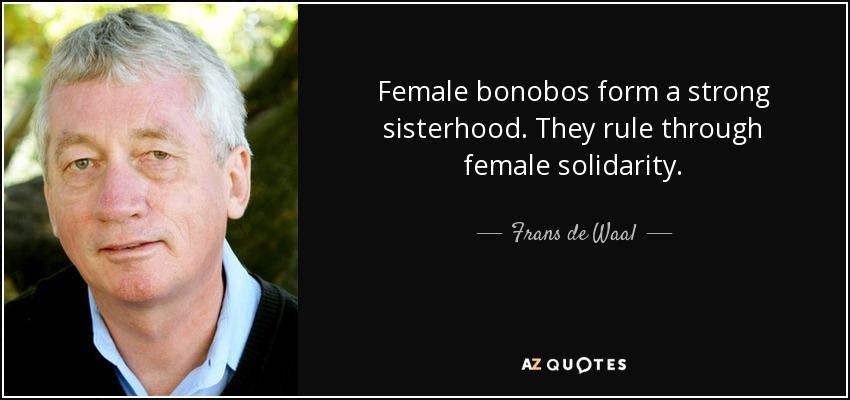 Female bonobos form a strong sisterhood. They rule through female solidarity. - Frans de Waal