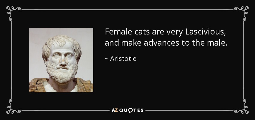 Aristotle quote: Female cats are very Lascivious, and make advances to  the...