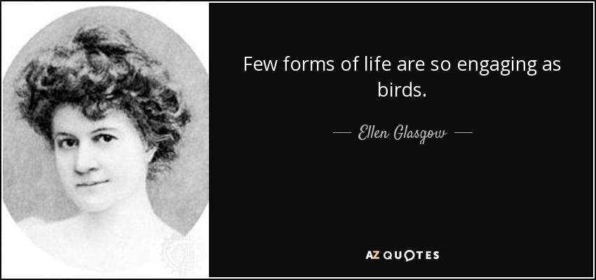 Few forms of life are so engaging as birds. - Ellen Glasgow