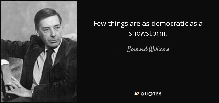 Few things are as democratic as a snowstorm. - Bernard Williams