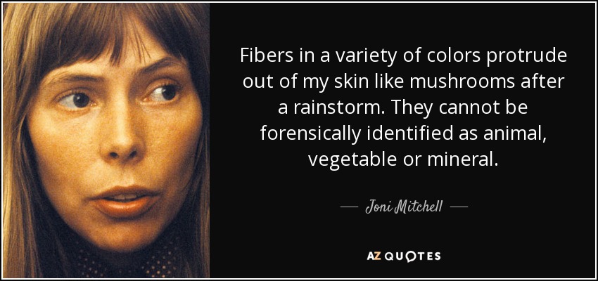 Fibers in a variety of colors protrude out of my skin like mushrooms after a rainstorm. They cannot be forensically identified as animal, vegetable or mineral. - Joni Mitchell