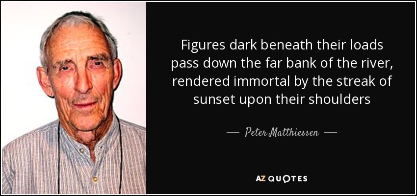 Figures dark beneath their loads pass down the far bank of the river, rendered immortal by the streak of sunset upon their shoulders - Peter Matthiessen