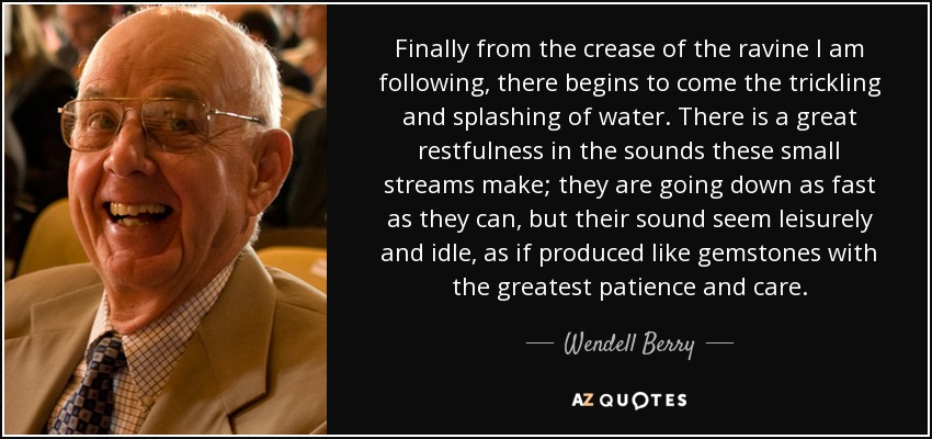 Finally from the crease of the ravine I am following, there begins to come the trickling and splashing of water. There is a great restfulness in the sounds these small streams make; they are going down as fast as they can, but their sound seem leisurely and idle, as if produced like gemstones with the greatest patience and care. - Wendell Berry